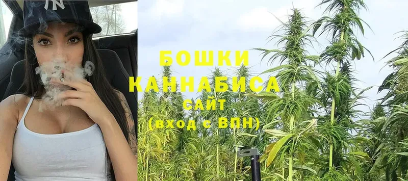 купить наркотик  Наволоки  Шишки марихуана Ganja 